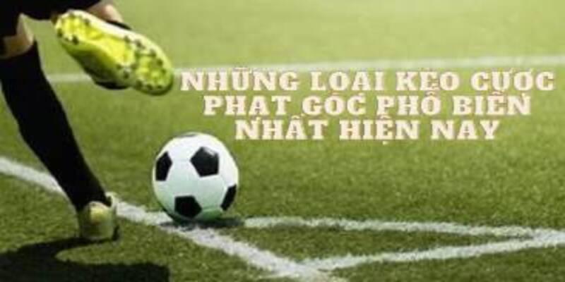 Các thể loại kèo