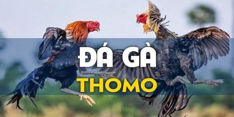 da-ga-thomo-zbet-avt